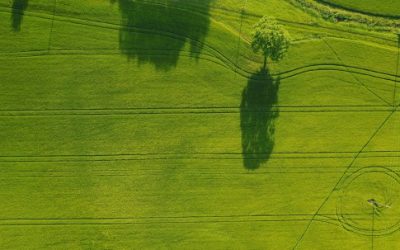 Il mercato delle obbligazioni Green e Tematiche
