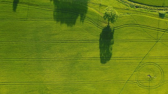 Il mercato delle obbligazioni Green e Tematiche